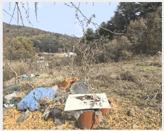  2025Ÿ��2510  �Ӿ߰��