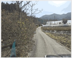  2025Ÿ��2510  �Ӿ߰��