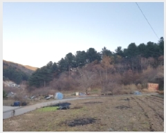  2025Ÿ��2510  �Ӿ߰��