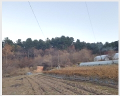  2025Ÿ��2510  �Ӿ߰��