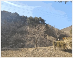  2025Ÿ��50498  ���ð��