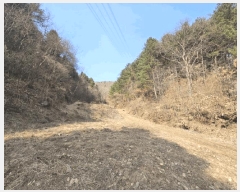  2025Ÿ��50498  ���ð��