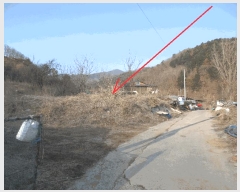  2025Ÿ50527  õ   364      (1)