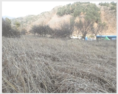  2025Ÿ50527  õ   364      (1)