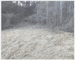  2025Ÿ50527  õ   364      (1)