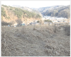  2025Ÿ50527  õ   364      (1)