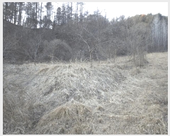  2025Ÿ50527  õ   364      (1)