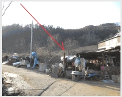  2025Ÿ50527  õ   364      (1)