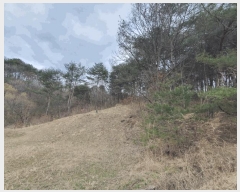  2025Ÿ50588  籸 ߾Ӹ  106-3      (1)