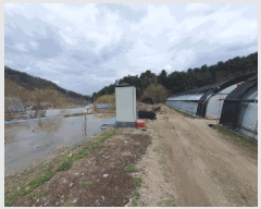  2025Ÿ50588  籸 ߾Ӹ  106-3      (1)