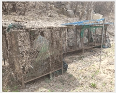  2025Ÿ50588  籸 ߾Ӹ  106-3      (1)