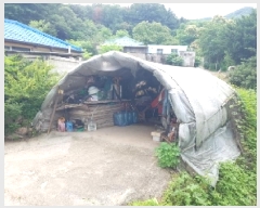  2025Ÿ��50607  �������