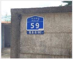  2025Ÿ��50607  �������