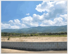  2025Ÿ50619  õ  õ 525-6      ٸü,󰡰