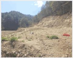  2025Ÿ��50623  �����