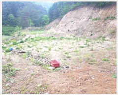  2025Ÿ��50623  �����