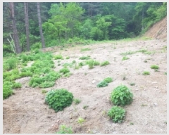  2025Ÿ��50623  �����