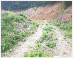  2025Ÿ��50623  �����