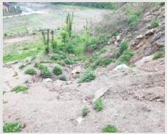  2025Ÿ��50623  �����