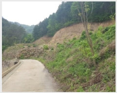  2025Ÿ��50623  �����