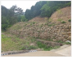  2025Ÿ��50623  �����