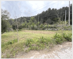  2025Ÿ50631  ȫõ  ڿ 1032-4      ڽü,,ȣ,