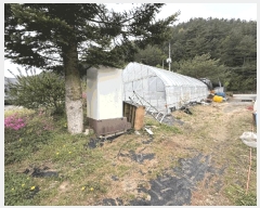  2025Ÿ50631  ȫõ  ڿ 1032-4      ڽü,,ȣ,