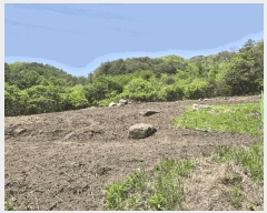  2025Ÿ50662  ȫõ  ϸ 1368-5      (1)