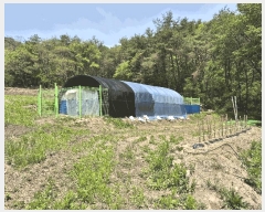  2025Ÿ50662  ȫõ  ϸ 1368-5      (1)