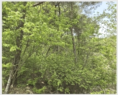  2025Ÿ50662  ȫõ  ϸ 1368-5      (1)