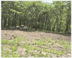  2025Ÿ50662  ȫõ  ϸ 1368-5      (1)