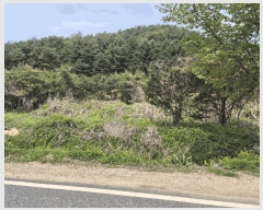  2025Ÿ50662  ȫõ  ϸ 1368-5      (1)