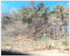  2025Ÿ��50666  �Ӿ߰��