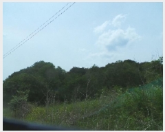  2025Ÿ��50666  �Ӿ߰��