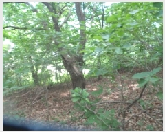  2025Ÿ��50666  �Ӿ߰��