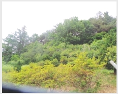  2025Ÿ��50666  �Ӿ߰��