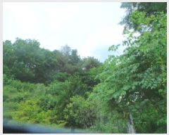  2025Ÿ��50666  �Ӿ߰��