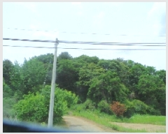  2025Ÿ��50666  �Ӿ߰��