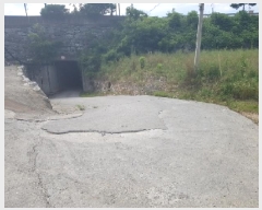  2025Ÿ��50670  �����Ұ��