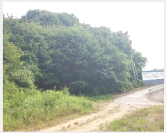  2025Ÿ��50670  �����Ұ��