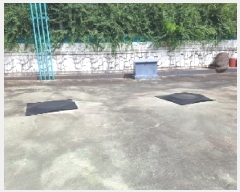  2025Ÿ��50670  �����Ұ��