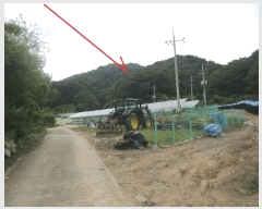  2025Ÿ��50674 ���� �籸�� �籸�� ���縮 ��264      ����(�Ӿ�)���