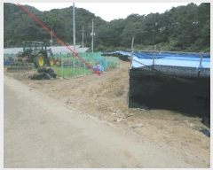  2025Ÿ��50674 ���� �籸�� �籸�� ���縮 ��264      ����(�Ӿ�)���