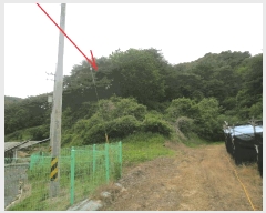  2025Ÿ��50674 ���� �籸�� �籸�� ���縮 ��264      ����(�Ӿ�)���