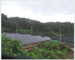  2025Ÿ��50674 ���� �籸�� �籸�� ���縮 ��264      ����(�Ӿ�)���