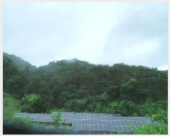  2025Ÿ��50674 ���� �籸�� �籸�� ���縮 ��264      ����(�Ӿ�)���