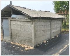  2025Ÿ50694  õ ź ߻긮 79      ð