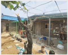  2025Ÿ50694  õ ź ߻긮 79      ð