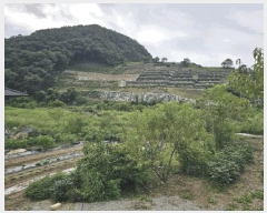  2025Ÿ��50698 ���� ��õ�� ���� �Ⱥ��� 243-1      ����(��)���