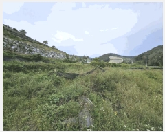  2025Ÿ��50698 ���� ��õ�� ���� �Ⱥ��� 243-1      ����(��)���